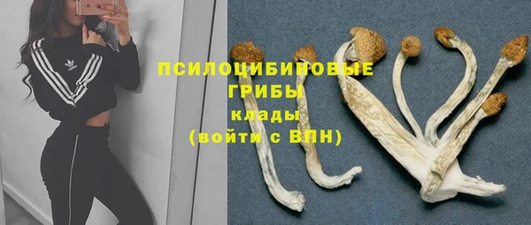 ECSTASY Абинск