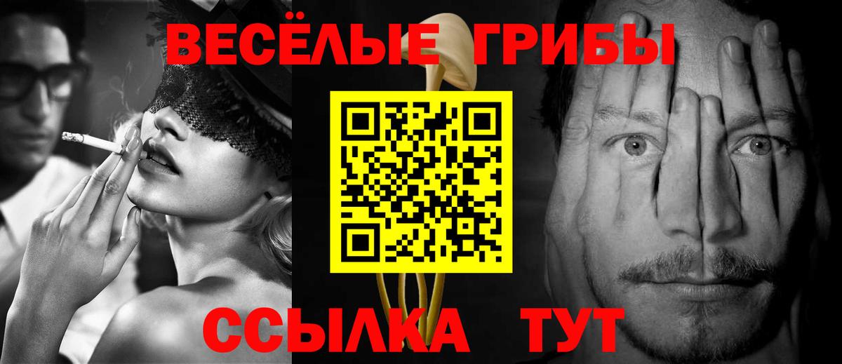 Ржев  Галлюциногенные грибы ЛСД  Вход с VPN 